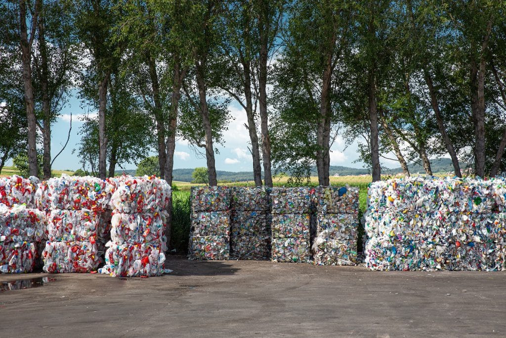 Pakete von gepressten Plastikflaschen stehen vor einer Baumreihe