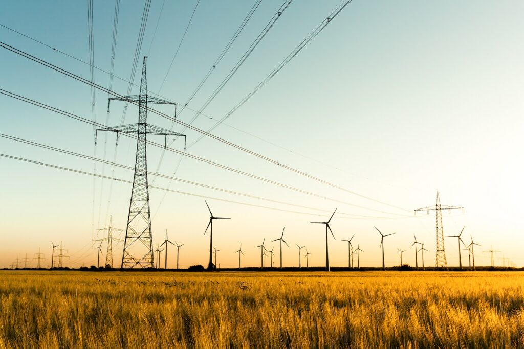 Corn field with power poles and wind turbines. Photo taken in autumn sunlight shortly before sunset.